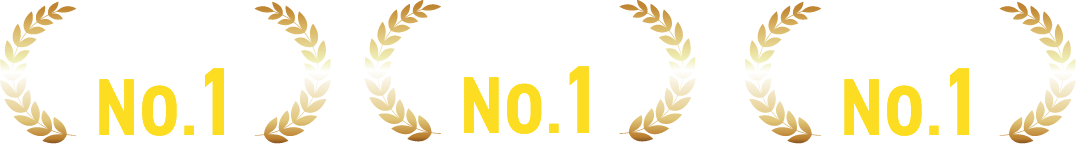 実績数No.1・開発力No.1・安全性No.1