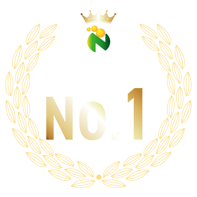 ニチブは可動ステージのパイオニアです